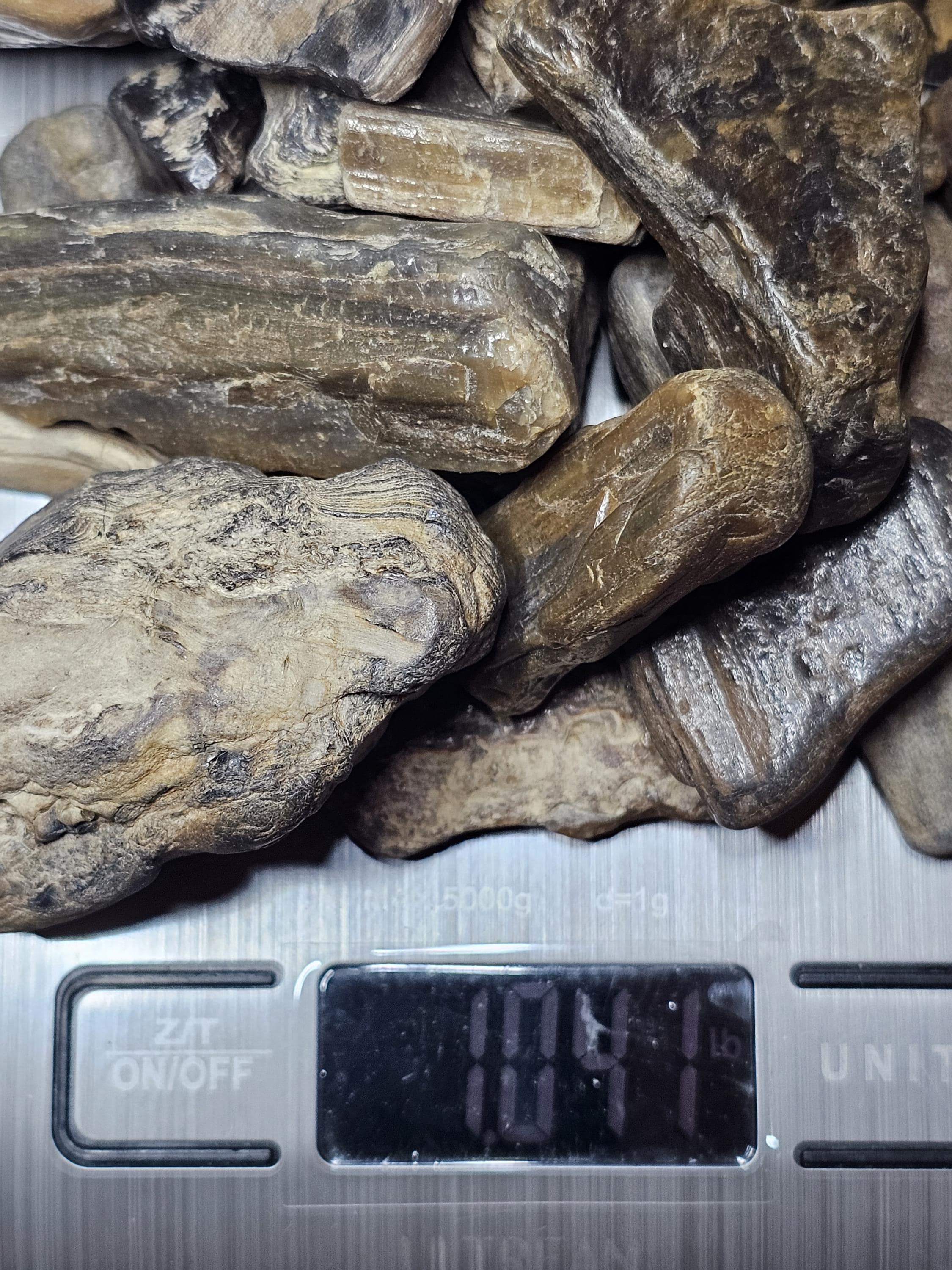 Petrified Wood Lot, 1 lb, Cabbing, Lapidary, Tumbling Rough