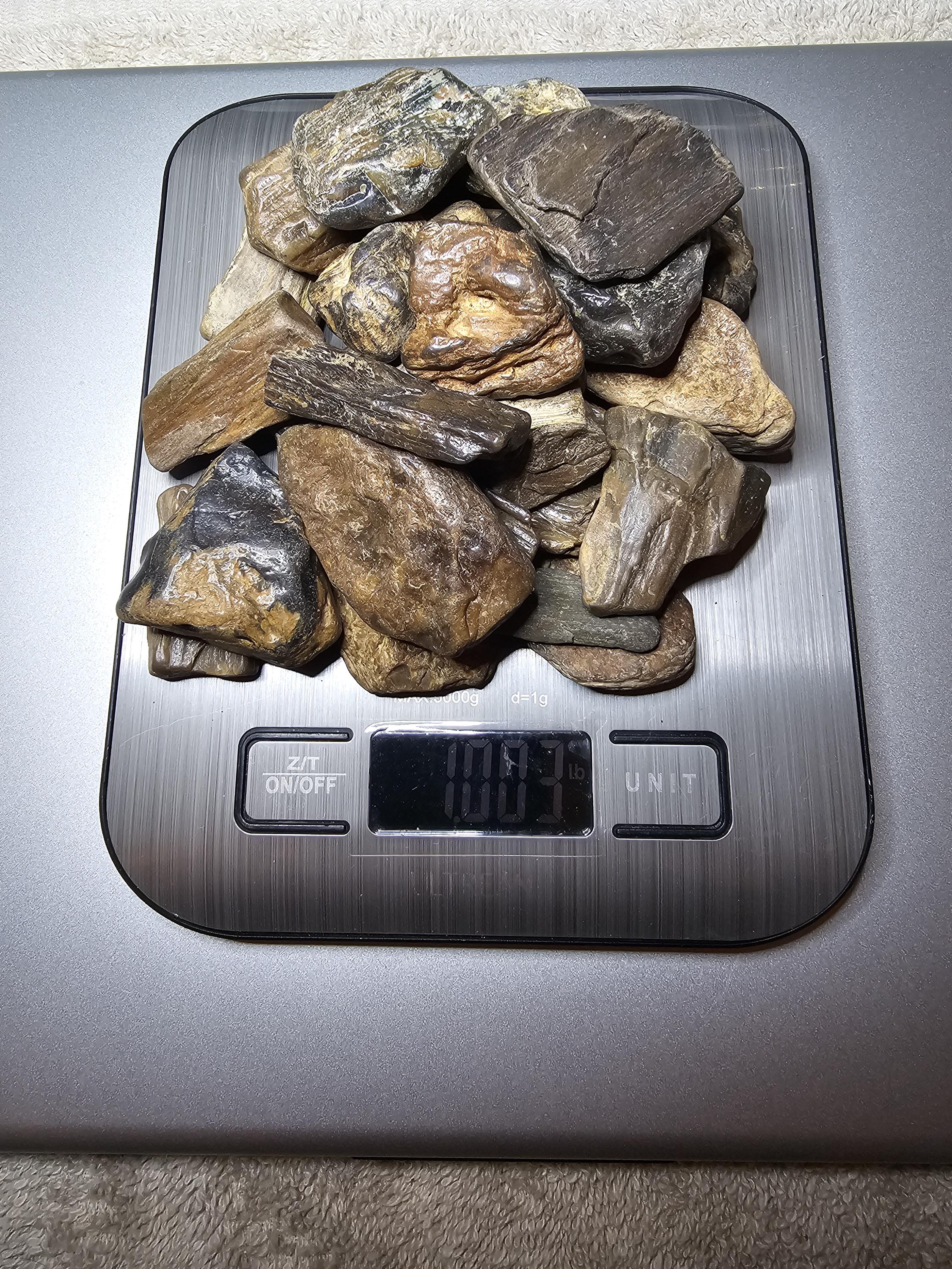 Petrified Wood Lot, 1 lb, Cabbing, Lapidary, Tumbling Rough