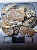 Petrified Wood Lot, 1 lb, Cabbing, Lapidary, Tumbling Rough