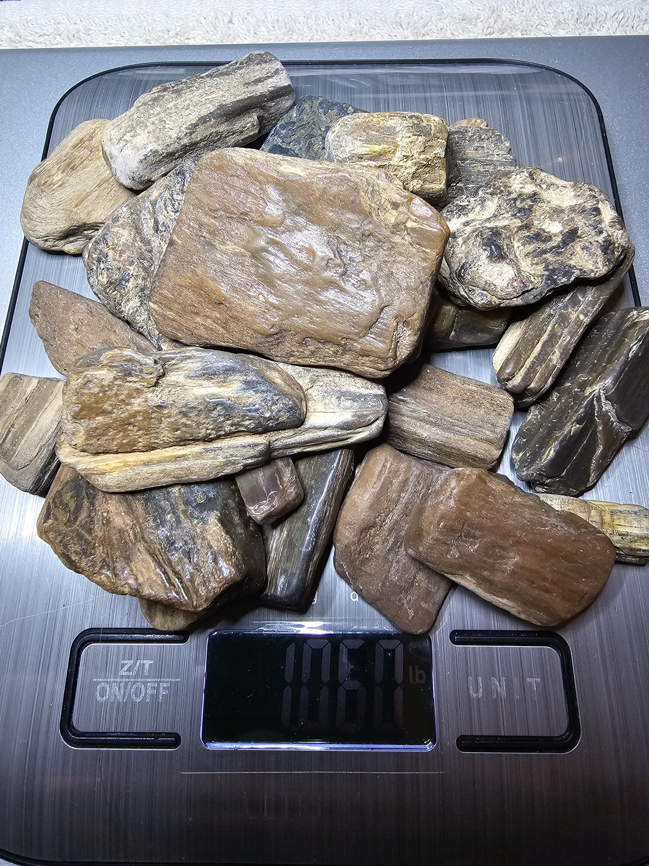 Petrified Wood Lot, 1 lb, Cabbing, Lapidary, Tumbling Rough