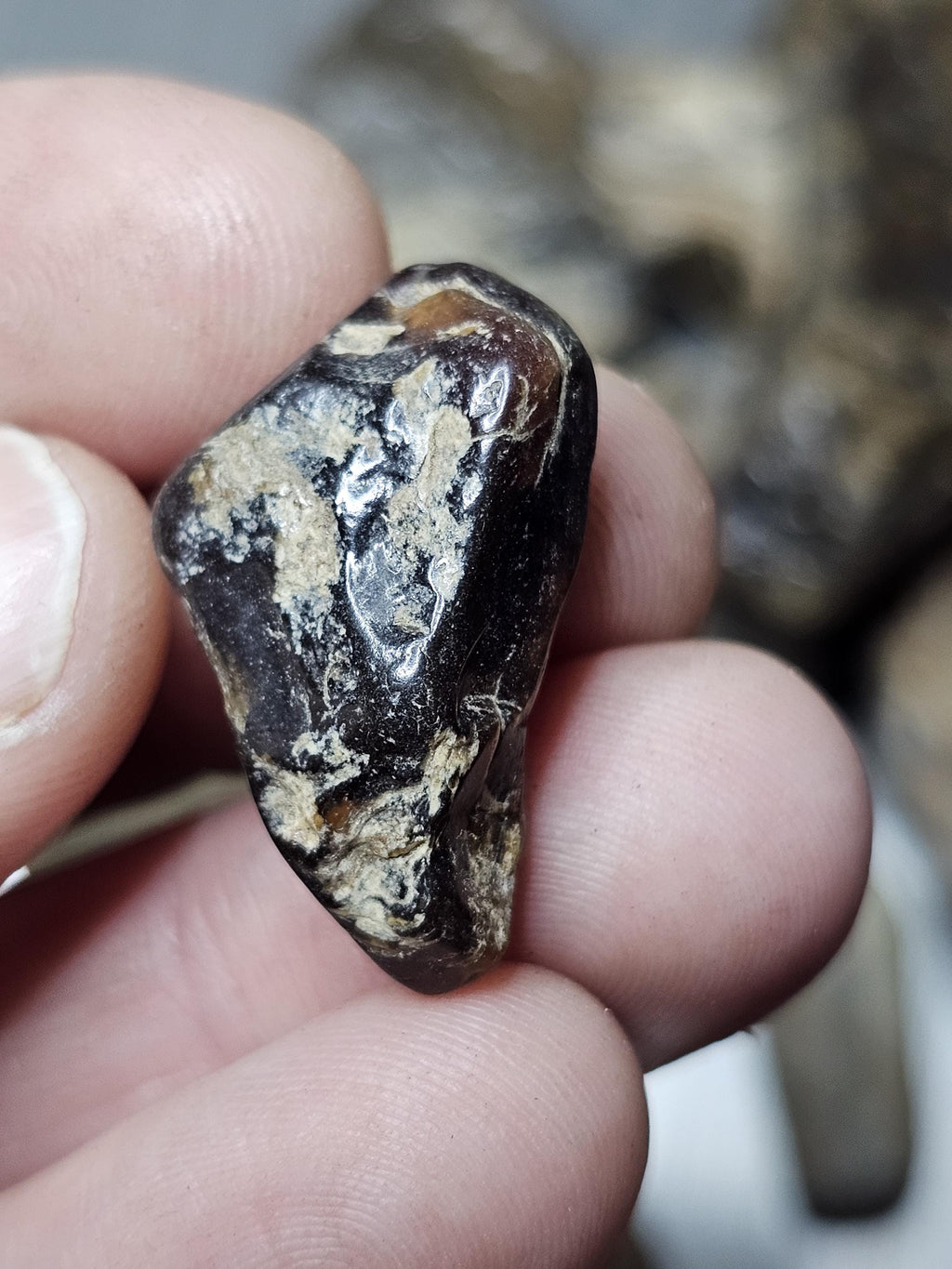 Petrified Wood Lot, 1 lb, Cabbing, Lapidary, Tumbling Rough