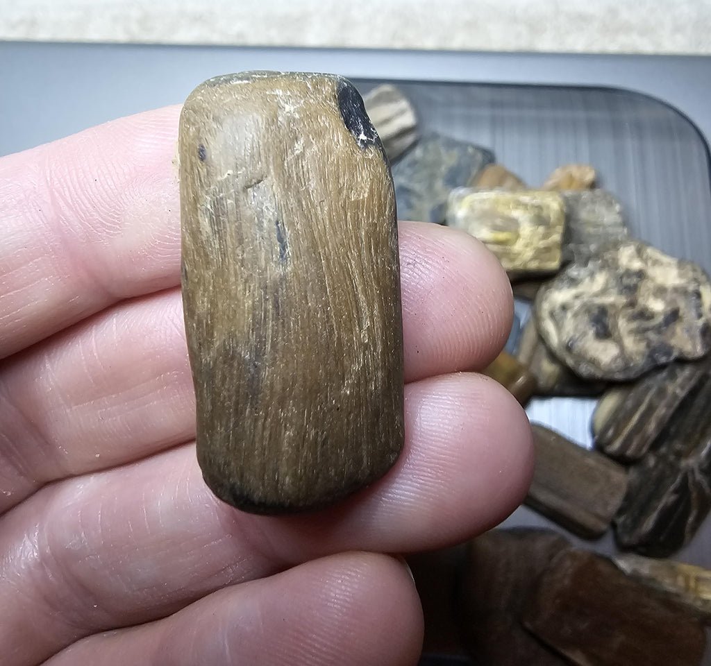 Petrified Wood Lot, 1 lb, Cabbing, Lapidary, Tumbling Rough