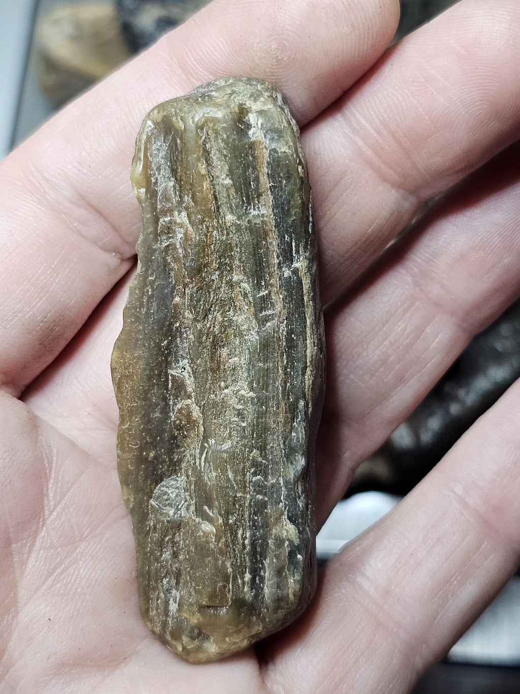 Petrified Wood Lot, 1 lb, Cabbing, Lapidary, Tumbling Rough