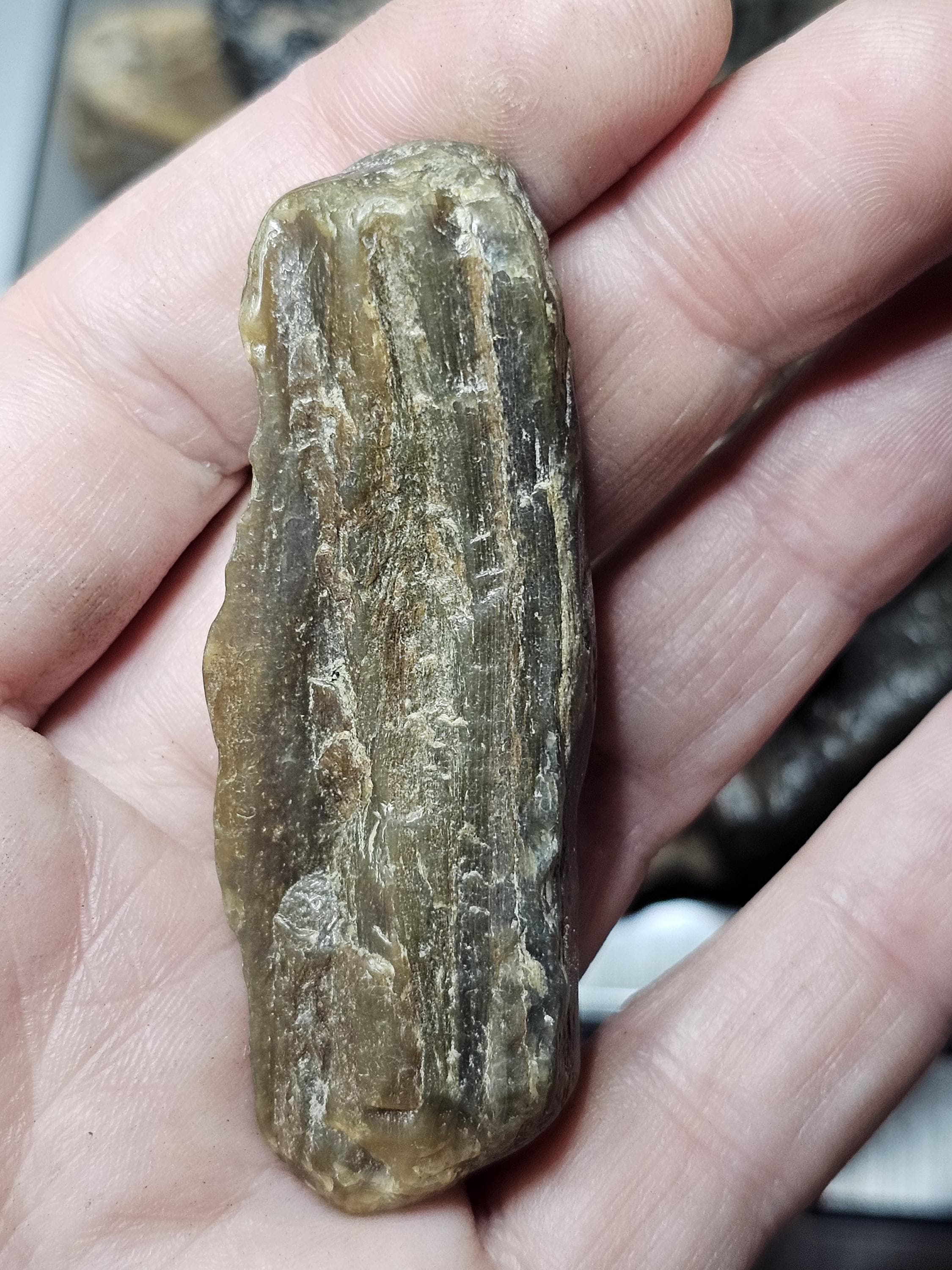 Petrified Wood Lot, 1 lb, Cabbing, Lapidary, Tumbling Rough