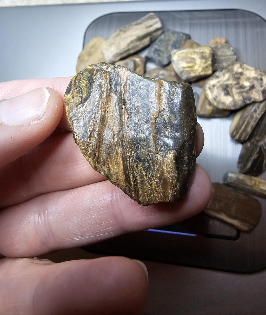 Petrified Wood Lot, 1 lb, Cabbing, Lapidary, Tumbling Rough