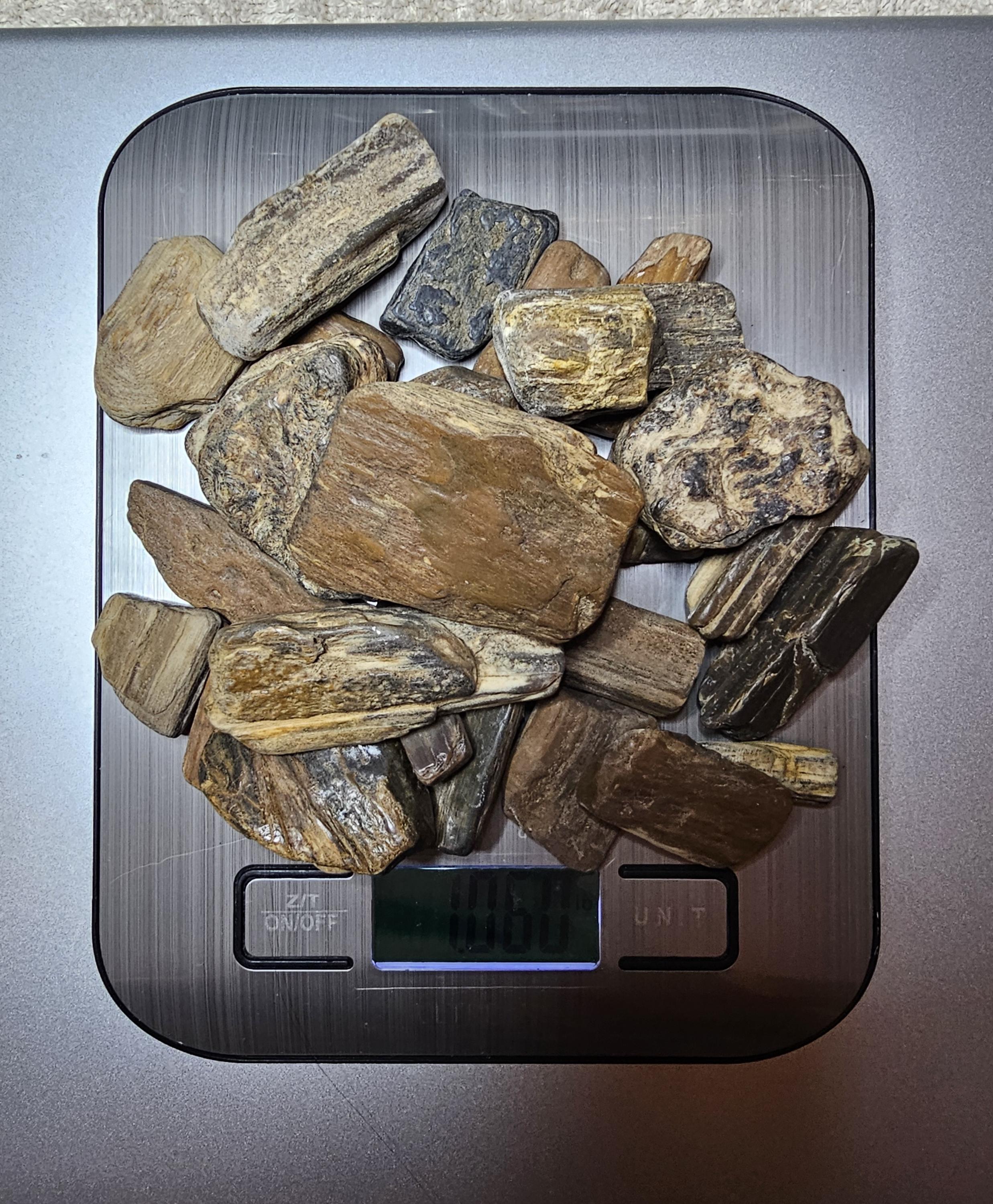 Petrified Wood Lot, 1 lb, Cabbing, Lapidary, Tumbling Rough