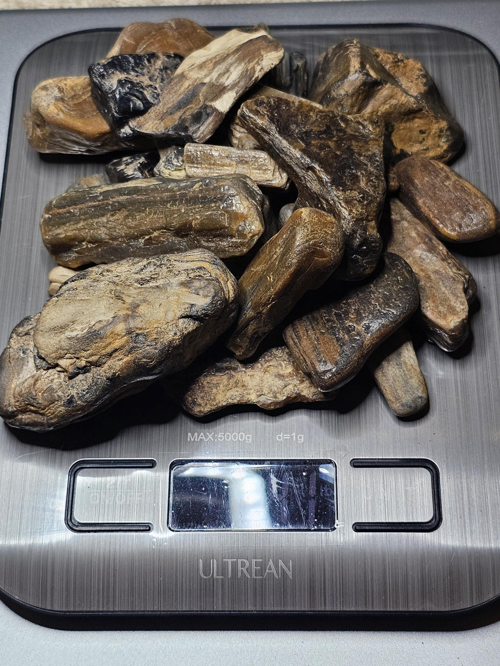 Petrified Wood Lot, 1 lb, Cabbing, Lapidary, Tumbling Rough