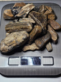 Petrified Wood Lot, 1 lb, Cabbing, Lapidary, Tumbling Rough