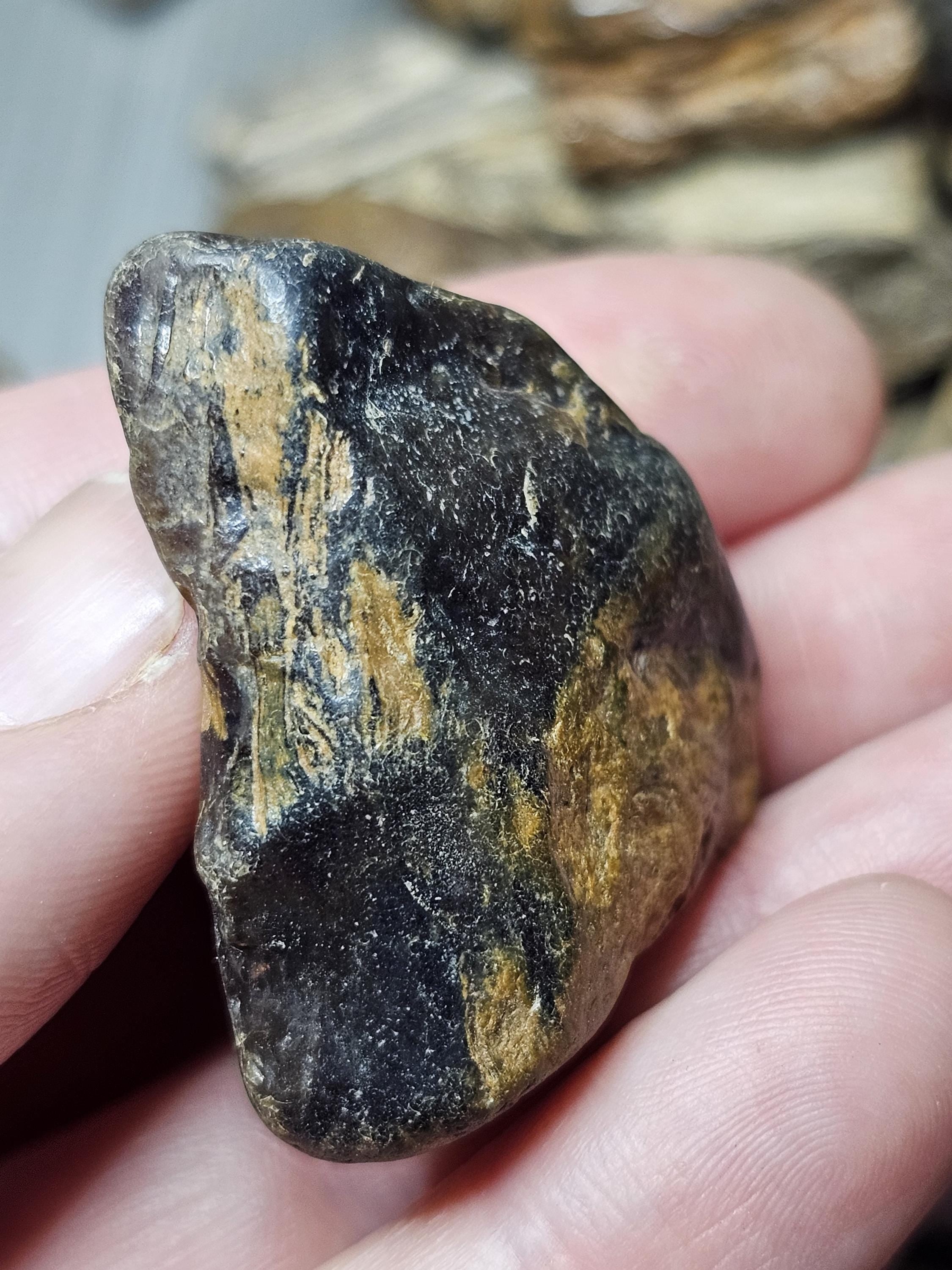 Petrified Wood Lot, 1 lb, Cabbing, Lapidary, Tumbling Rough